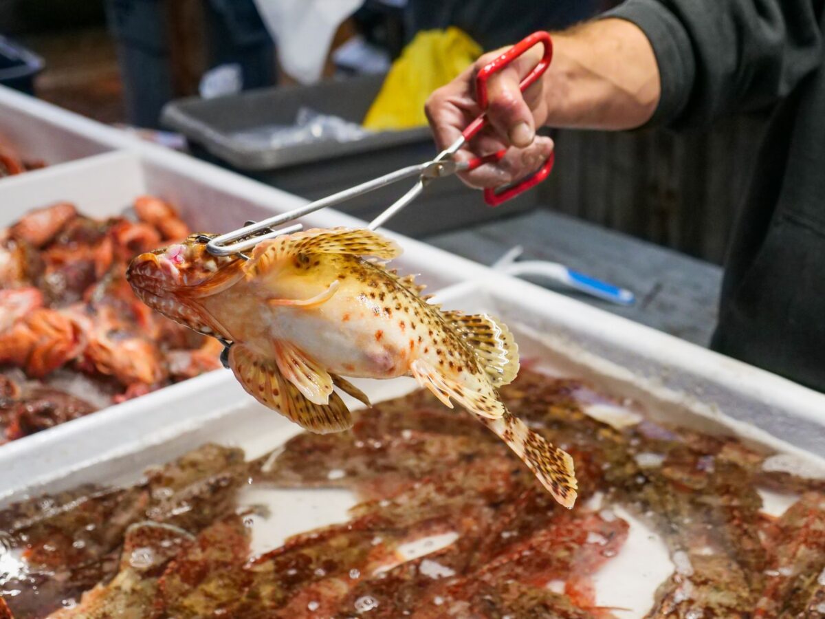 soluce marché poissons récupérer antikytera finaliser
