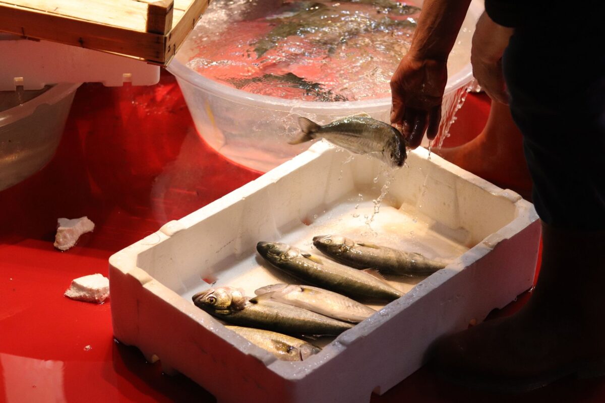 soluce marché poissons enchaînements outils choisir